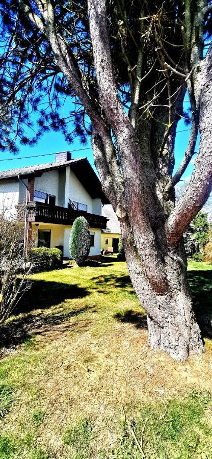 Ferienwohnung Landidylle Nassheck Dieblich Dış mekan fotoğraf