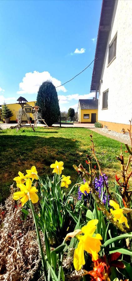 Ferienwohnung Landidylle Nassheck Dieblich Dış mekan fotoğraf